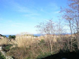 -affitti-elba-5